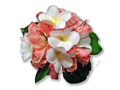 Jasmine
