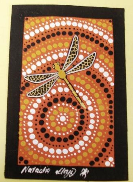 Dragonfly of N.T- Indigineous Native Fauna