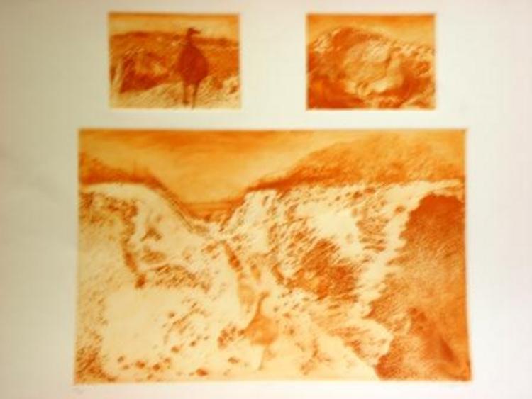 Emu's - Large 3 Plate Etching