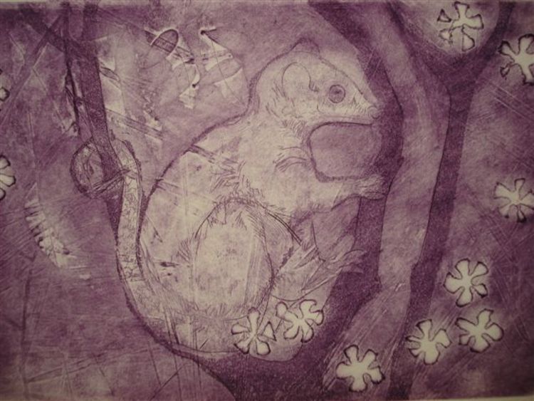 Possum - Lilac