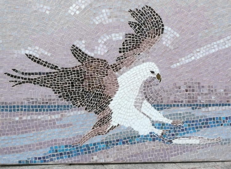 Sea Eagles