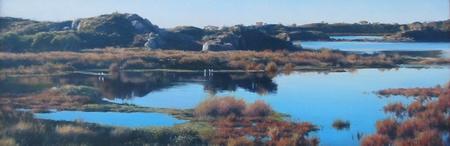 The Salt Lakes Of Rottnest