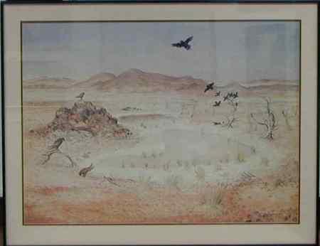 Waterhole With Birds Near Alice springs