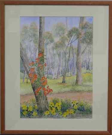 Kennedia and Hibbertia