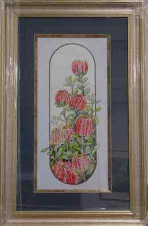 Albany Banksia