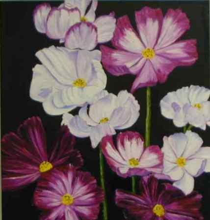 Poppies