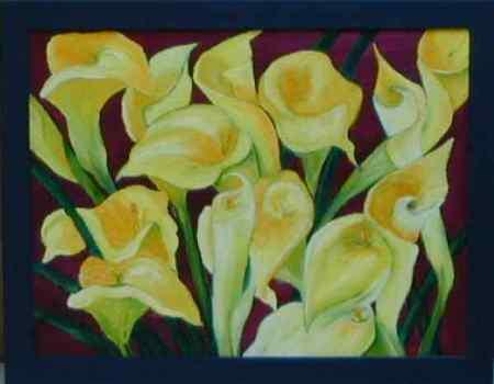 Calla Lillies