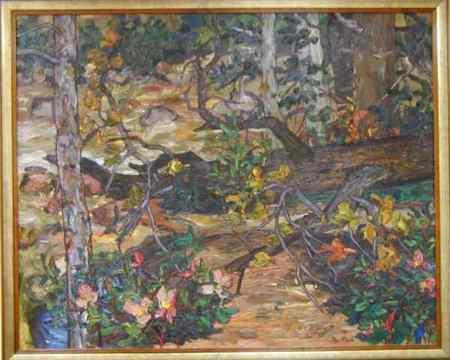 Forest Resting Place