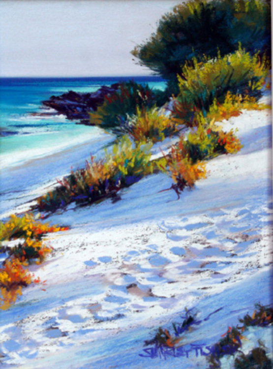 Dune Shadows