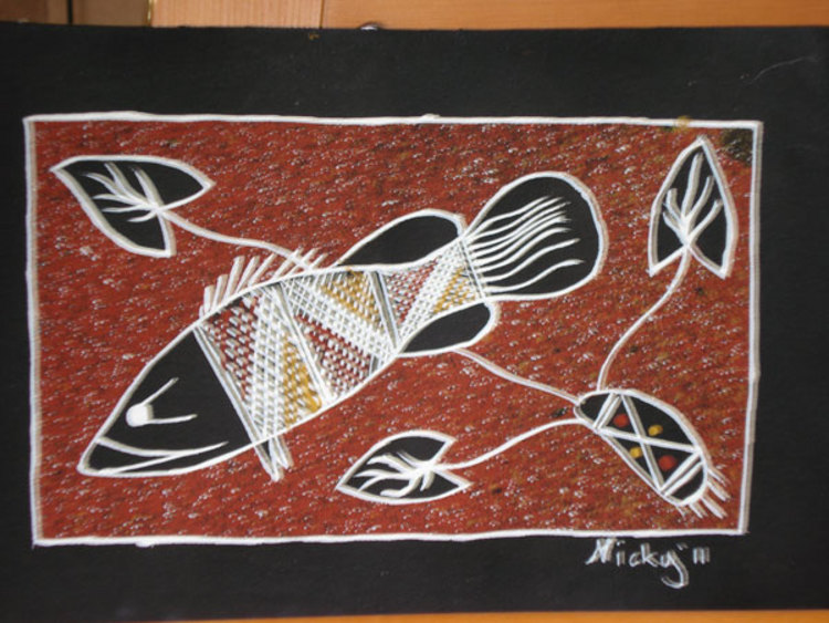 Barramundi