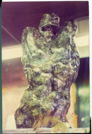 Torso