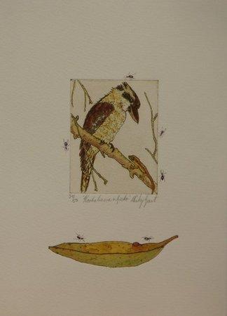Kookaburra and Gecko