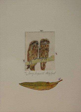 Tawny Frogmouths