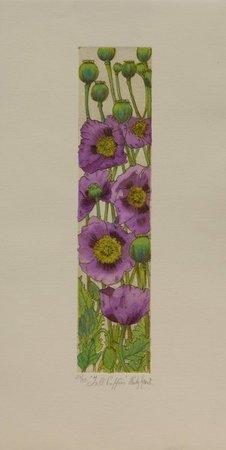 Tall Poppies