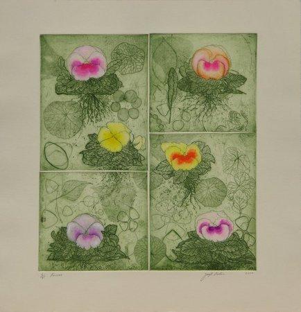 Pansies