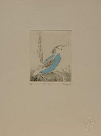 Wren