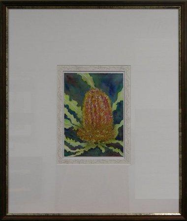 WA Banksia