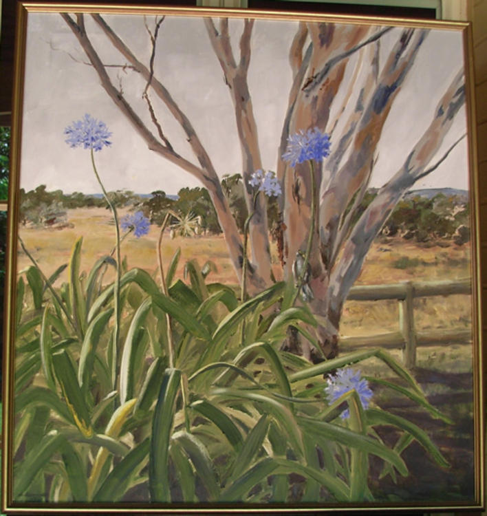 Garden and Paddock