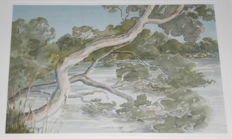 Bush walk, Kalgan River