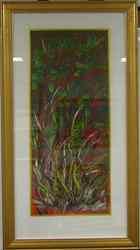 Kangaroo Paws