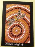 Dragonfly of N.T- Indigineous Native Fauna
