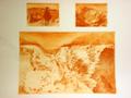 Emu's - Large 3 Plate Etching