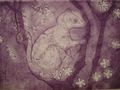 Possum - Lilac