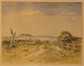 Tasmanian Landscape