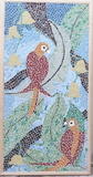 Parrots in Spring
