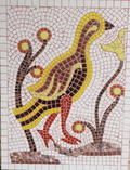 Dodo Bird