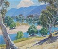 River Gums