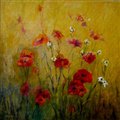 Poppies