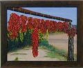 Ristras (Chilli peppers)