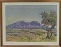 Central Australian Landscape