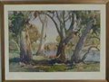 Australian Billabong