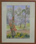 Kennedia and Hibbertia