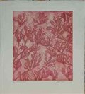 australian animals and flora