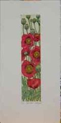 Tall Poppies