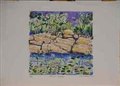 Tropical Rockpool