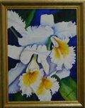 Orchids