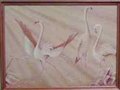 oil on board