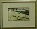 Rocky Shore, Shelley Cove