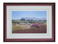 Paraburdoo Panorama
