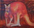 Red Kangaroo