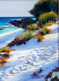 Dune Shadows