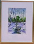 Fir Tree