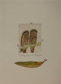 Tawny Frogmouths