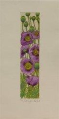 Tall Poppies