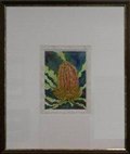 WA Banksia