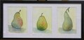 3 x Pears